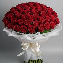 Букет 101 Красная роза Блэк Мэджик в Гражданском