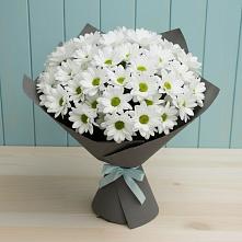 Букет цветов из:  Хризантемы #REPLACE_PRED# Гражданском