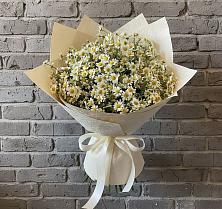 Букет цветов из:  Ромашки #REPLACE_PRED# Гражданском
