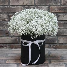 Цветочная композиция из Гипсофила в шляпной коробке #REPLACE_PRED# Гражданском