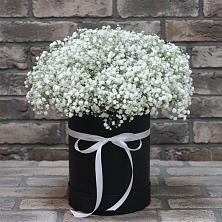 Цветочная композиция из Гипсофила в шляпной коробке в Гражданском