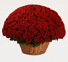 Премиум букет из: Розы в Гражданском