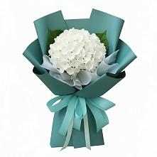 Букет цветов из:  Гортензия в Гражданском